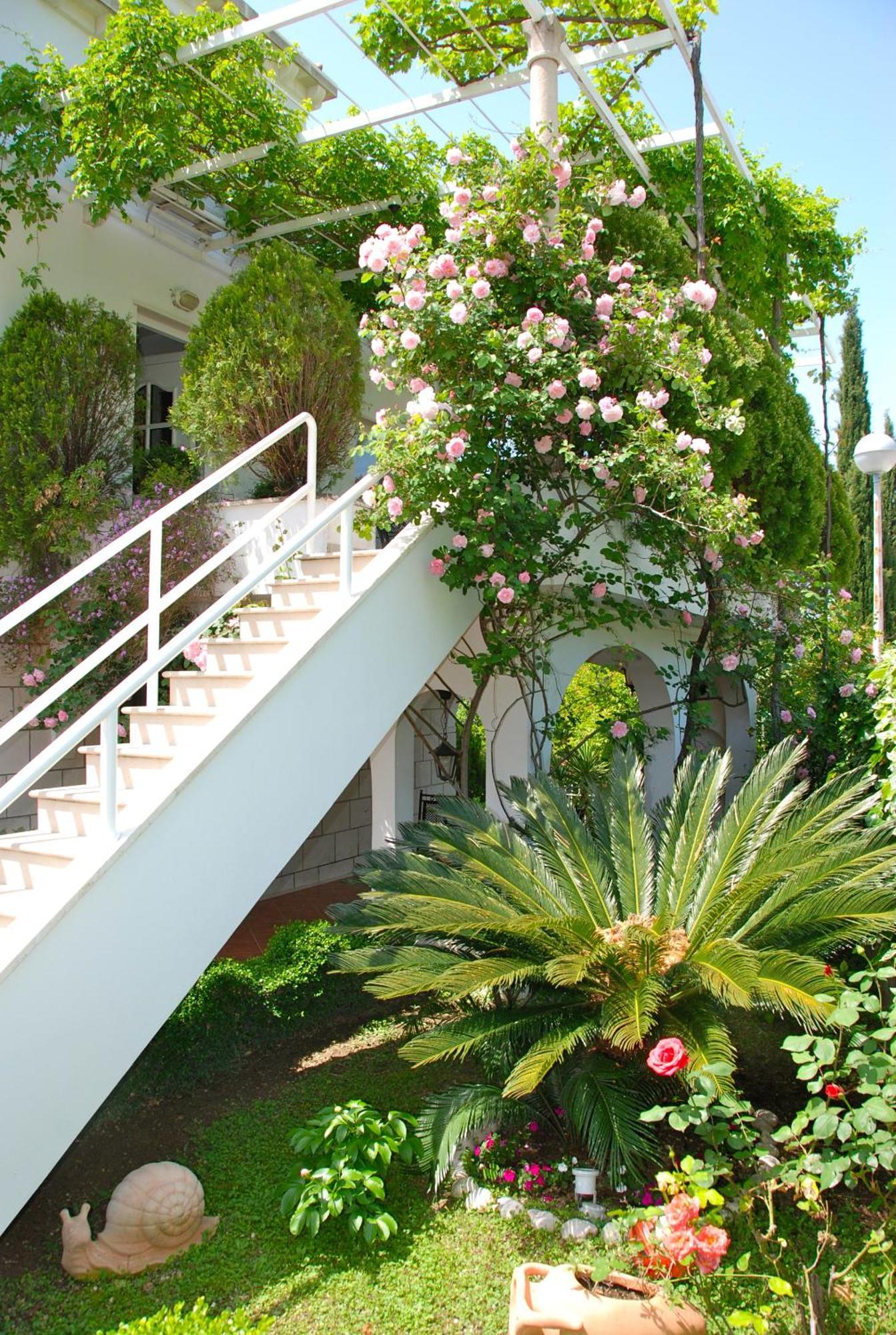 Villa Mediterranea Mlini Zewnętrze zdjęcie